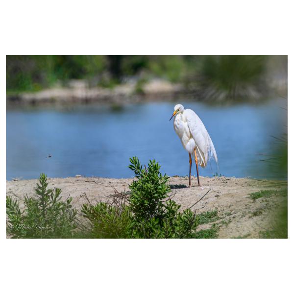 PHOTO84, CLUB, 84 , LUBERON